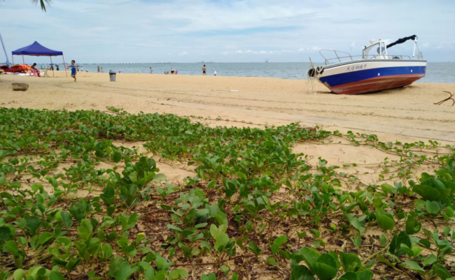 海口租车自驾游 西秀海滩