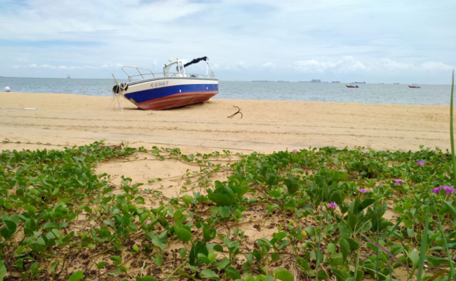 海口西秀海滩