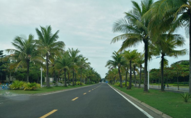 海南路况景观