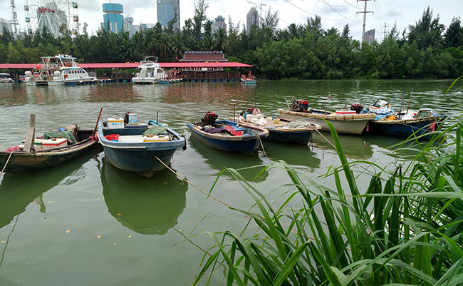 海南包车 游海口世纪公园