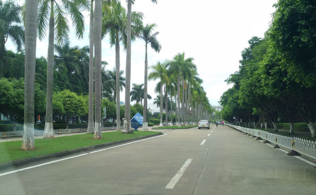 海口道路景观